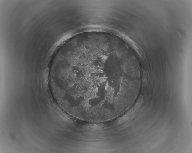 X0000110941411200906261251