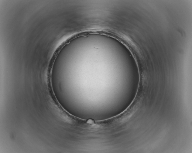 X0000110941412200906261251