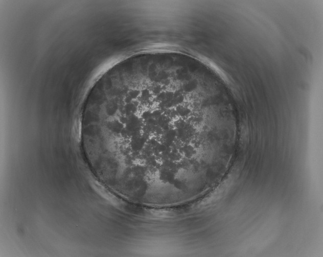 X0000110941413200906261251