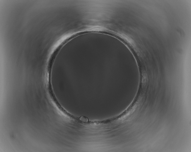 X0000110941414200906261251