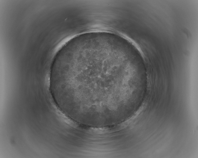 X0000110941415200906261251