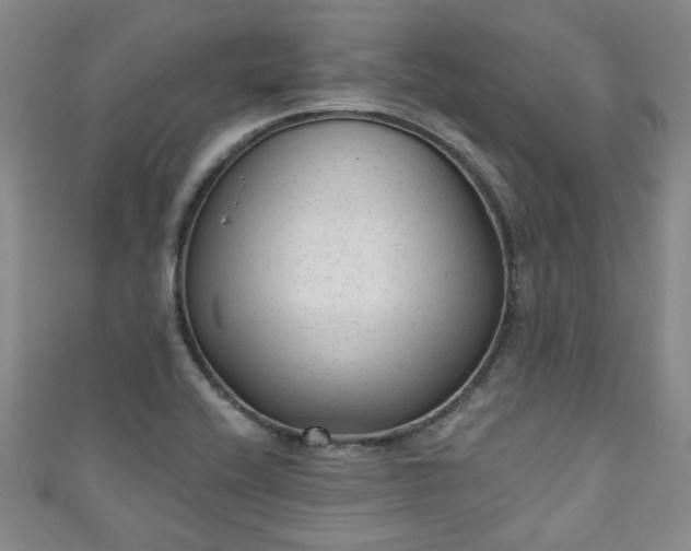 X0000110941416200906261251