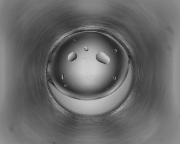 X0000110941417200906261251