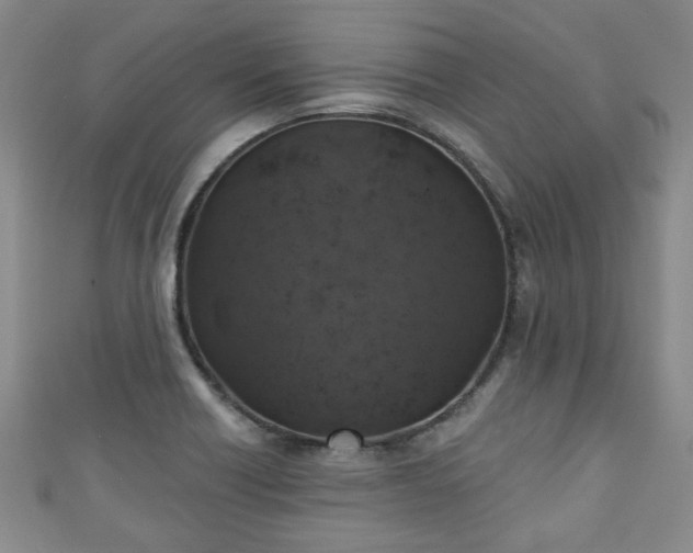 X0000110941418200906261251