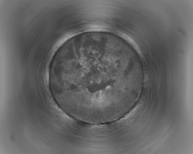 X0000110941419200906261251