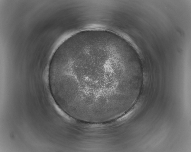 X0000110941421200906261251