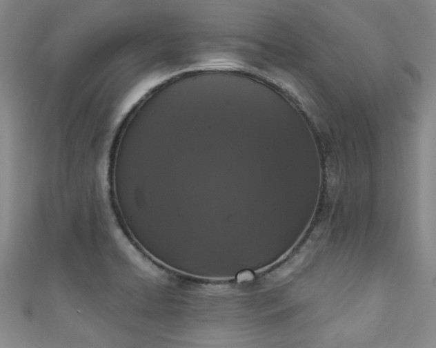 X0000110941422200906261251