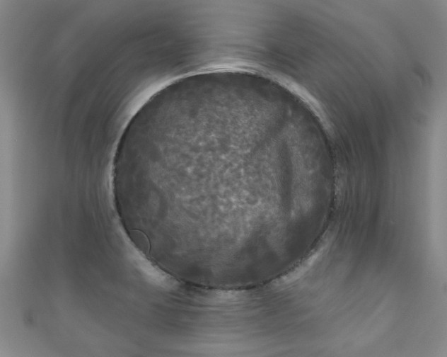 X0000110941423200906261251