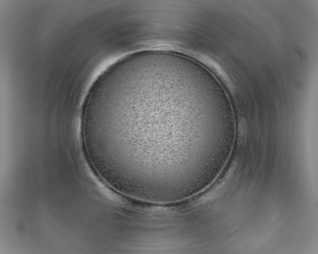 X0000110941424200906261251