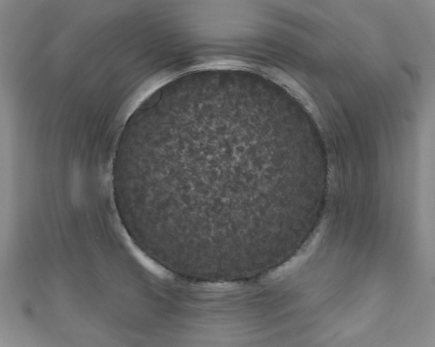 X0000110941425200906261251