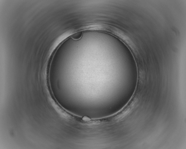 X0000110941426200906261251