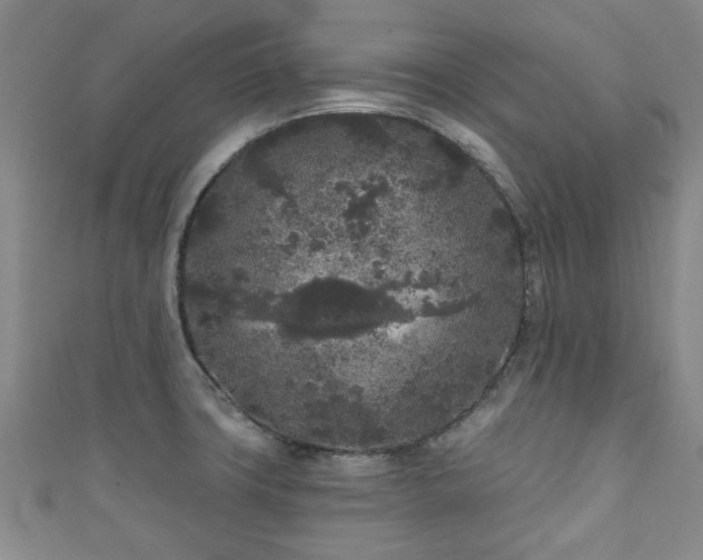 X0000110941427200906261251