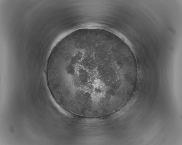 X0000110941429200906261251