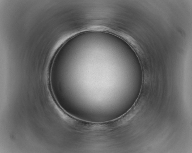 X0000110941430200906261251