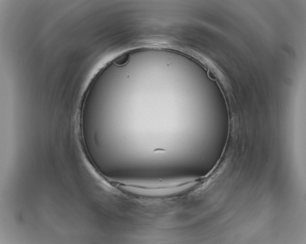 X0000110941432200906261251