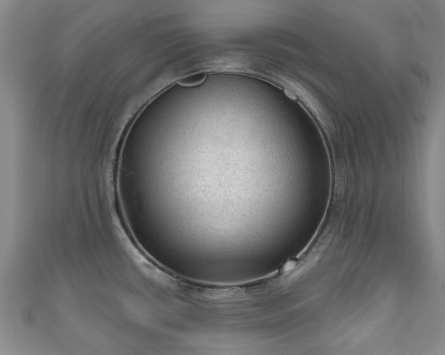 X0000110941434200906261251