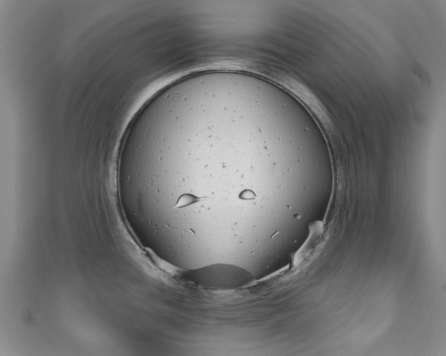 X0000110941436200906261251