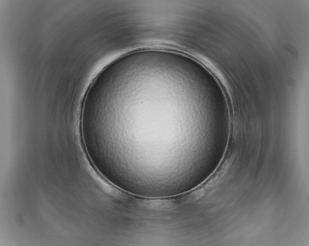 X0000110941437200906261251