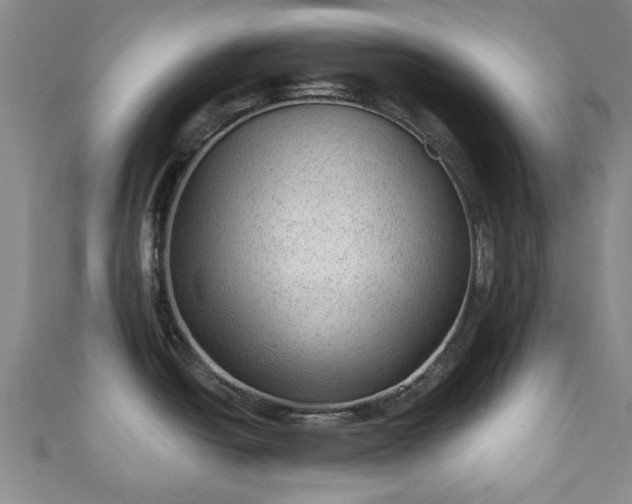 X0000110941438200906261251