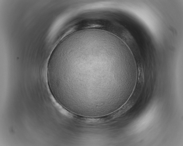 X0000110941439200906261251