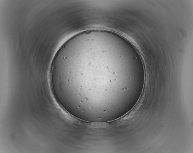 X0000110941440200906261251