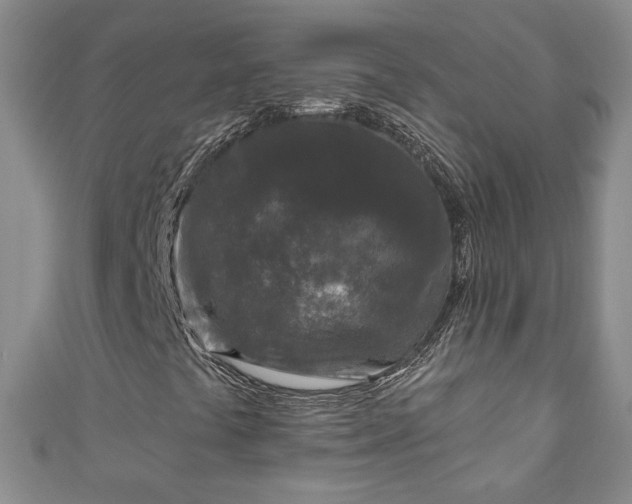 X0000110941441200906261251