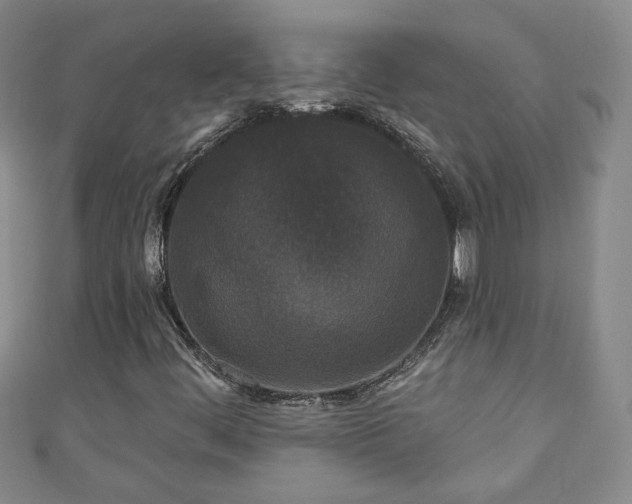 X0000110941444200906261251