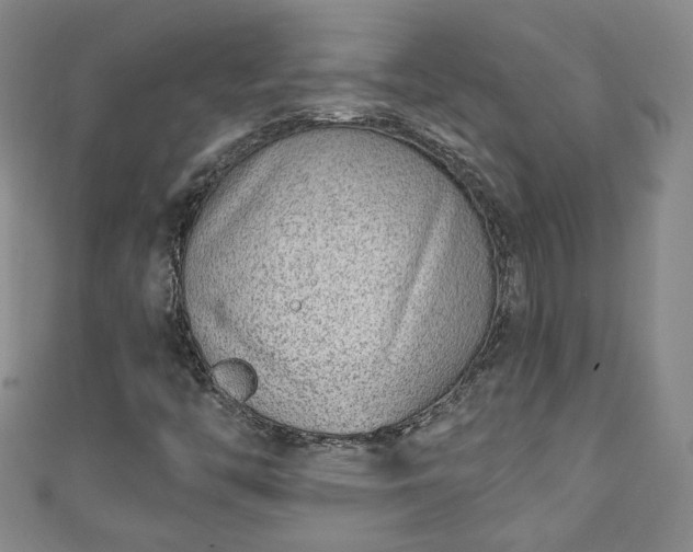 X0000110941446200906261251