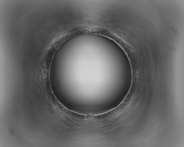 X0000110941447200906261251