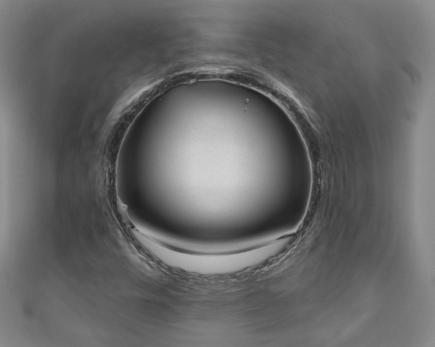 X0000110941448200906261251