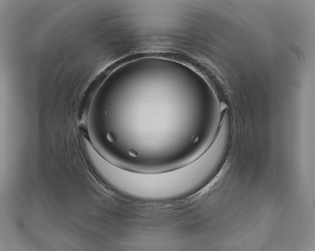 X0000110941449200906261251