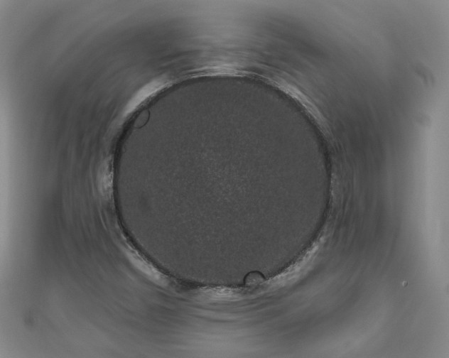 X0000110941450200906261251