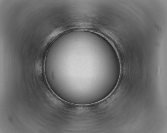 X0000110941451200906261251