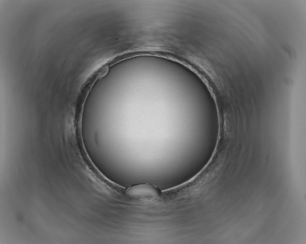 X0000110941452200906261251