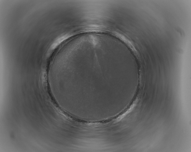 X0000110941453200906261251