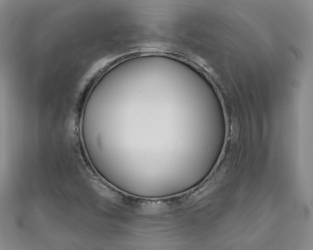 X0000110941454200906261251