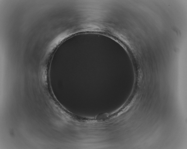 X0000110941455200906261251