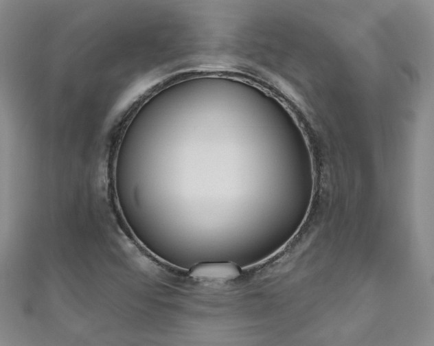 X0000110941456200906261251