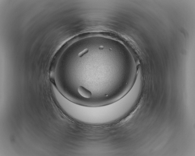 X0000110941457200906261251