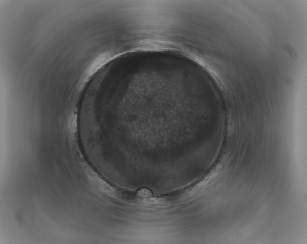 X0000110941459200906261251