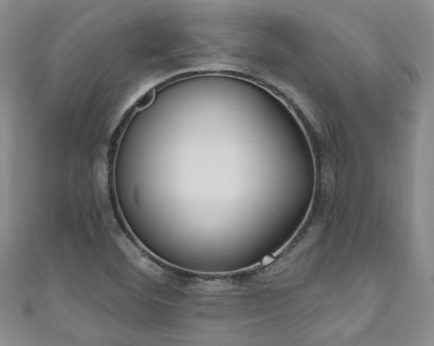 X0000110941460200906261251