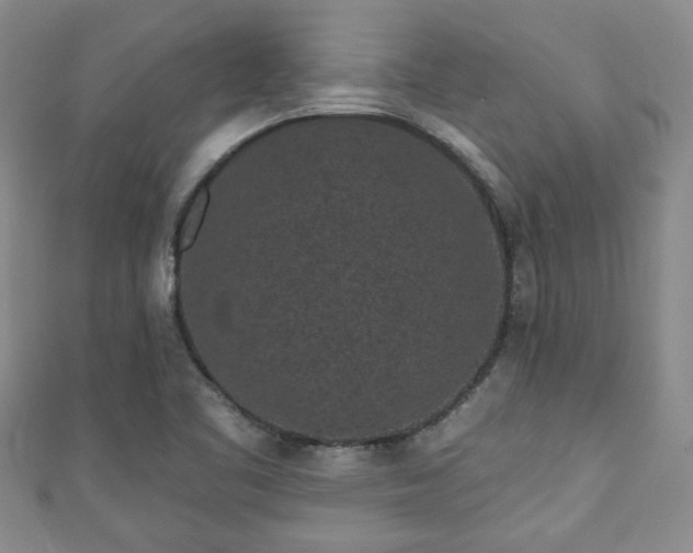 X0000110941461200906261251