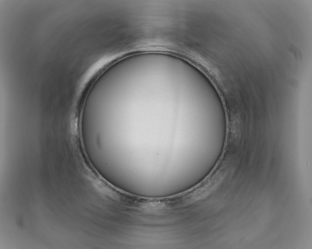 X0000110941462200906261251