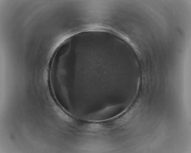 X0000110941463200906261251