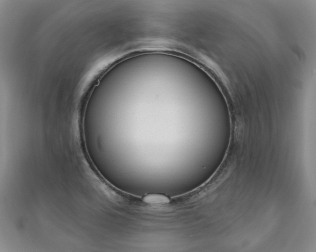 X0000110941464200906261251