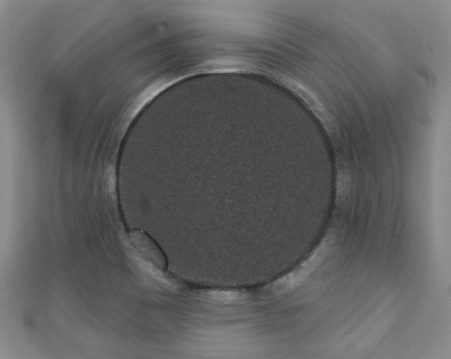 X0000110941465200906261251