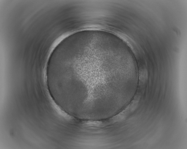 X0000110941466200906261251