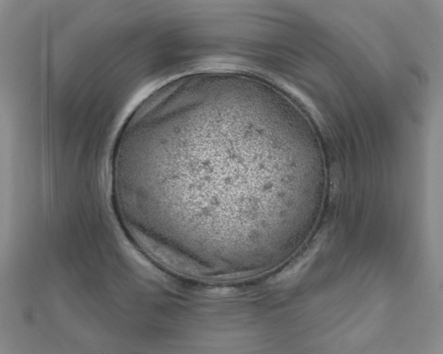 X0000110941467200906261251