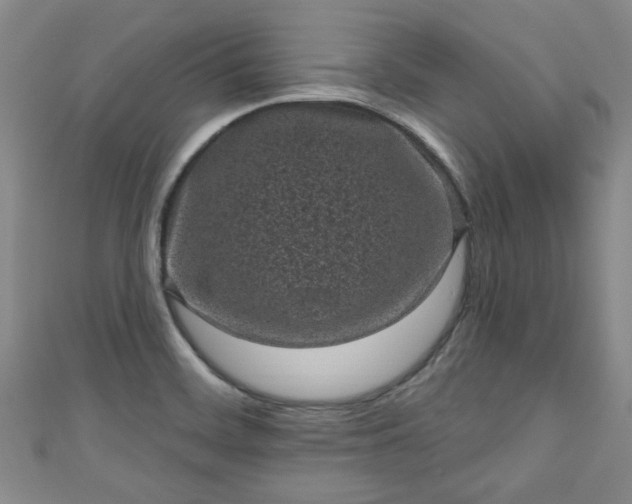 X0000110941468200906261251