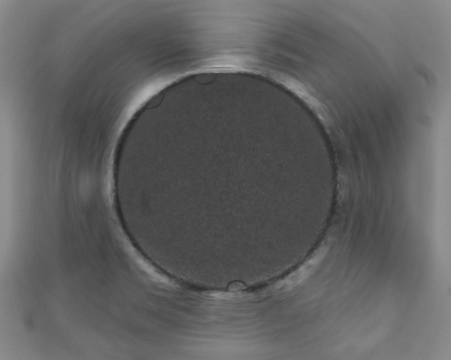 X0000110941469200906261251